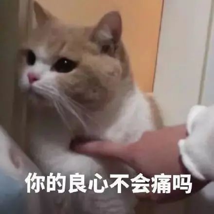 DƬ